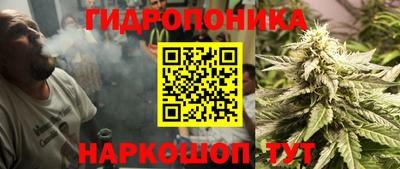 индика Первоуральск