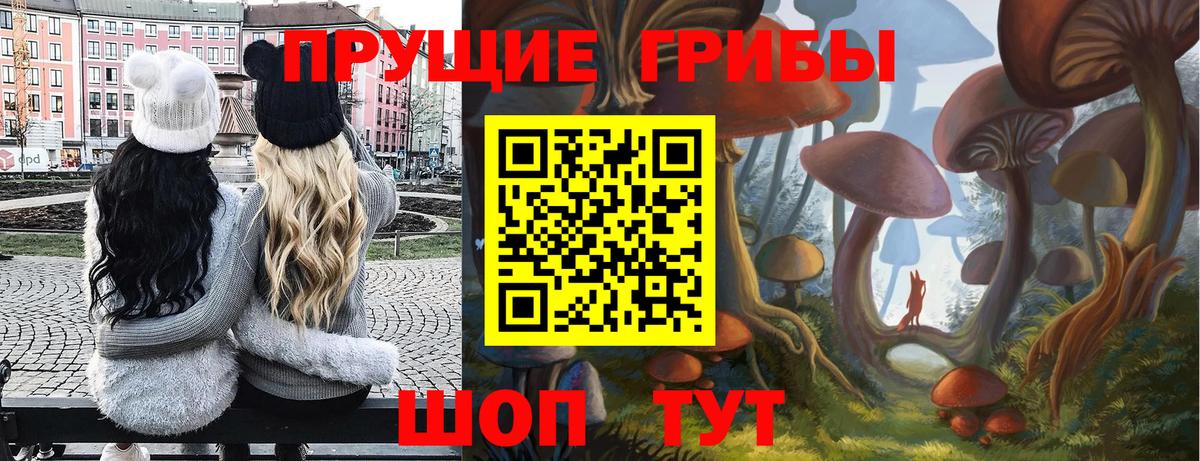 Галлюциногенные грибы MAGIC MUSHROOMS  Галлюциногенные грибы прущие грибы  Вход с VPN  Ставрополь 